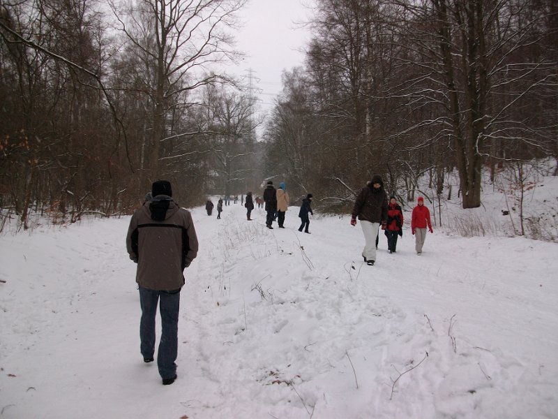 Crosslauf Bergedorf 101